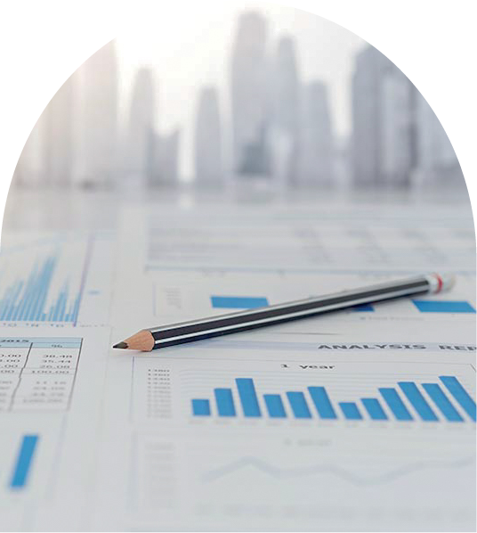 analiza sytuacji podatkowej i finansowej firmy